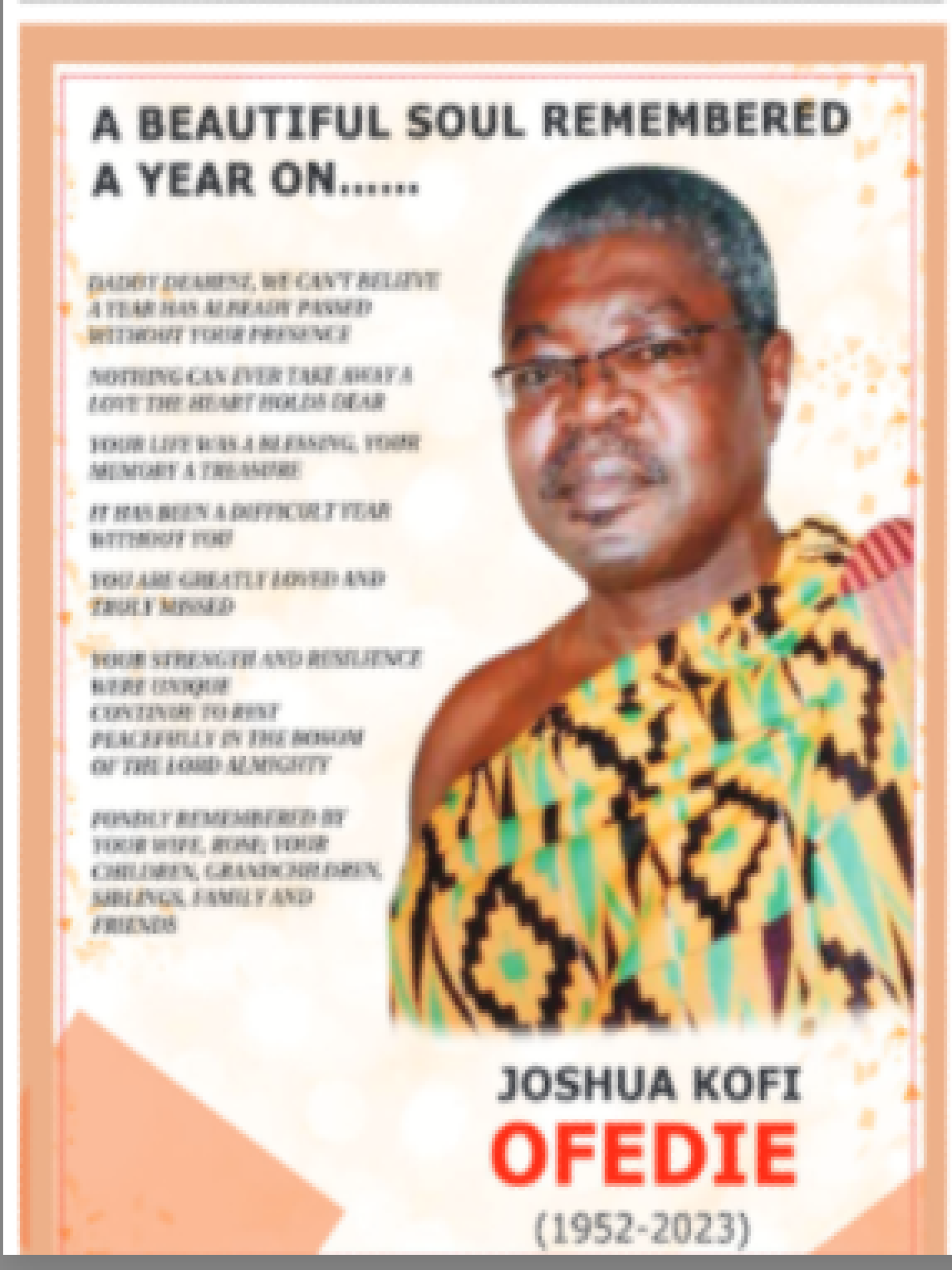 Mr. Joshua Kofi Ofedie